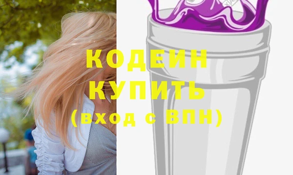 хмурый Вяземский