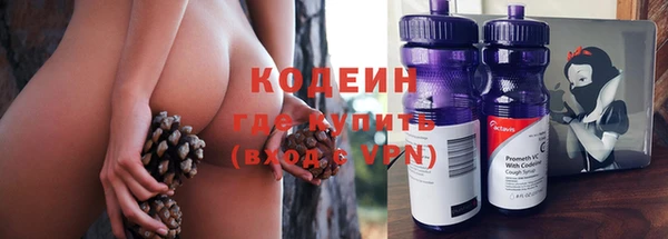 хмурый Вяземский