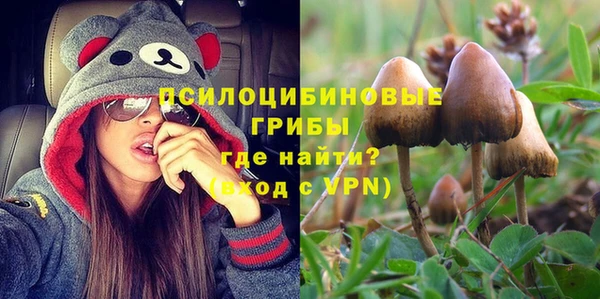 хмурый Вязьма