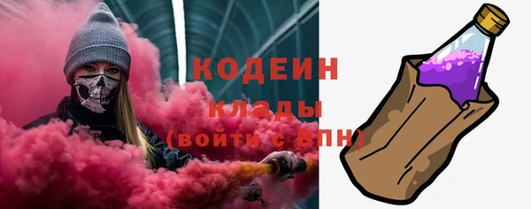 хмурый Вяземский