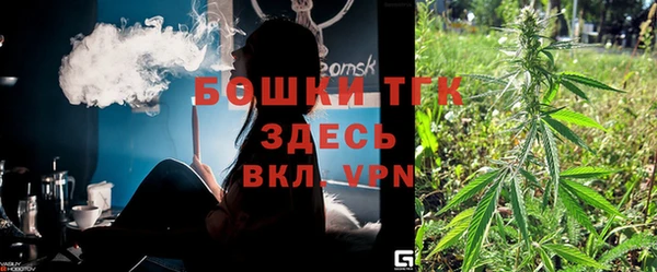хмурый Вяземский