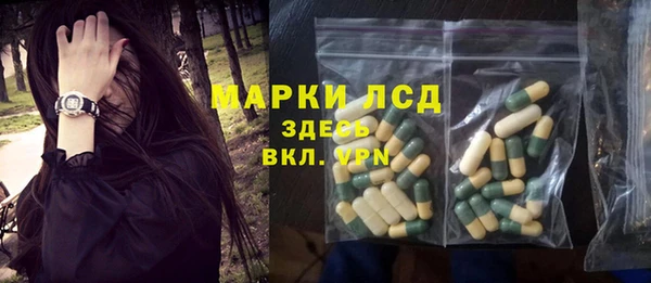 хмурый Вяземский