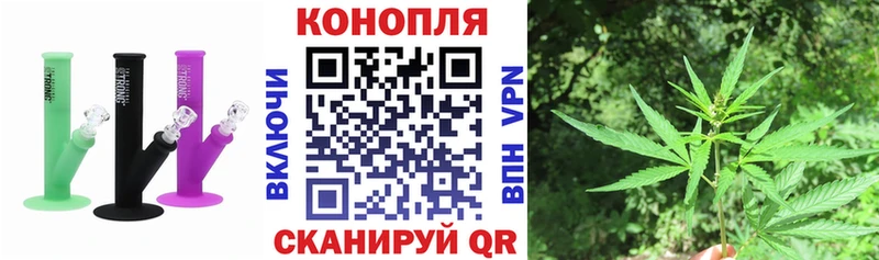 Купить где  Кашин  Шишки марихуана тримм 